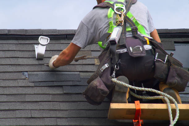 Best Roof Repair Services  in Nowthen, MN