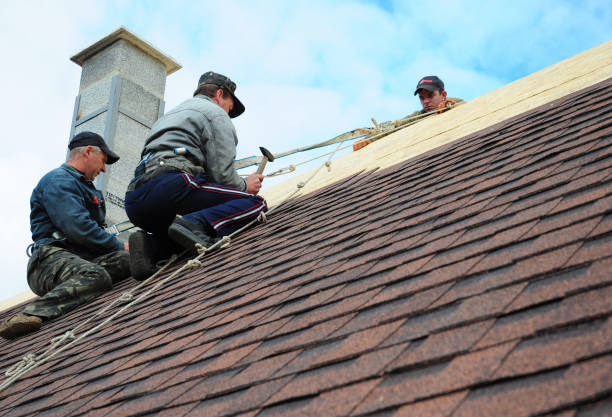 Best Roof Gutter Cleaning  in Nowthen, MN